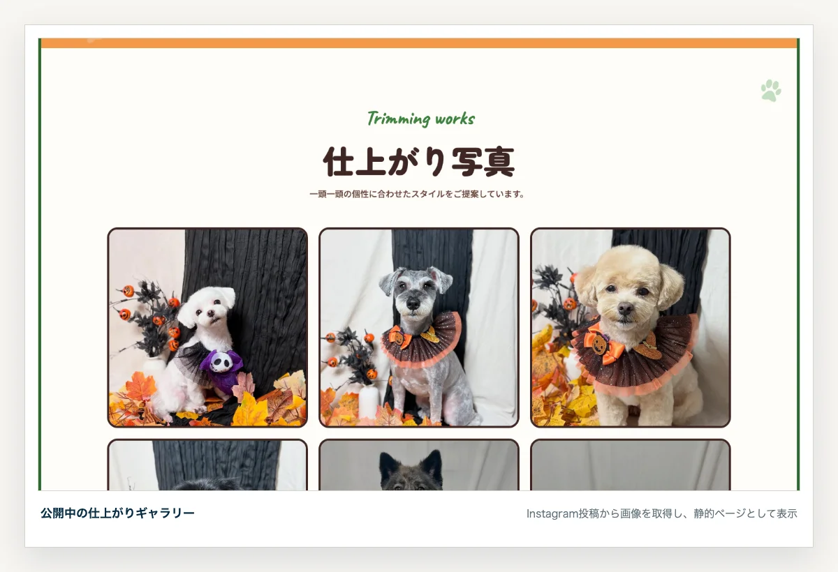 Instagram投稿から生成したDog care salon apricot様の仕上がりギャラリー